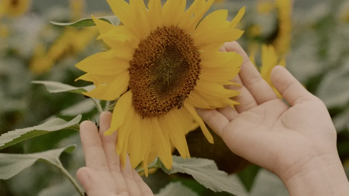 1 Reason Your Emotional Sensitivity Is A Strength