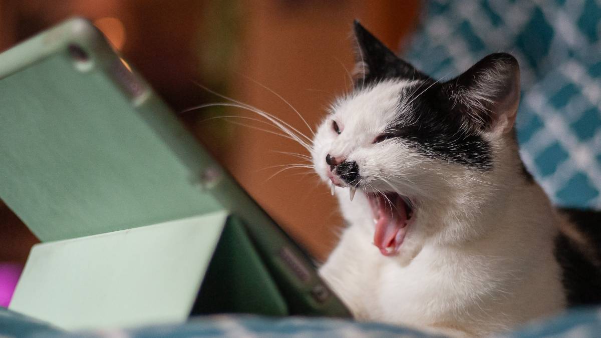 
A Therapist Offers 2 Strategies To Help You Beat The Sunday Blues
