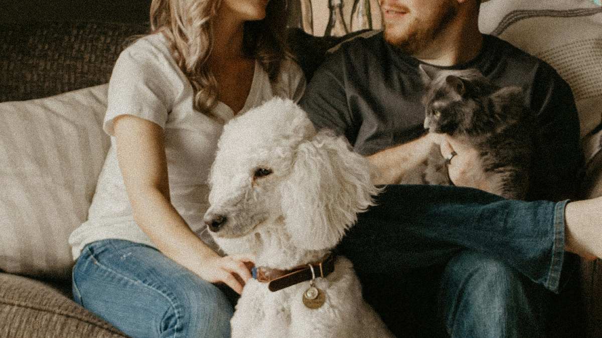 
a-child-free-couple-with-their-fur-babies
