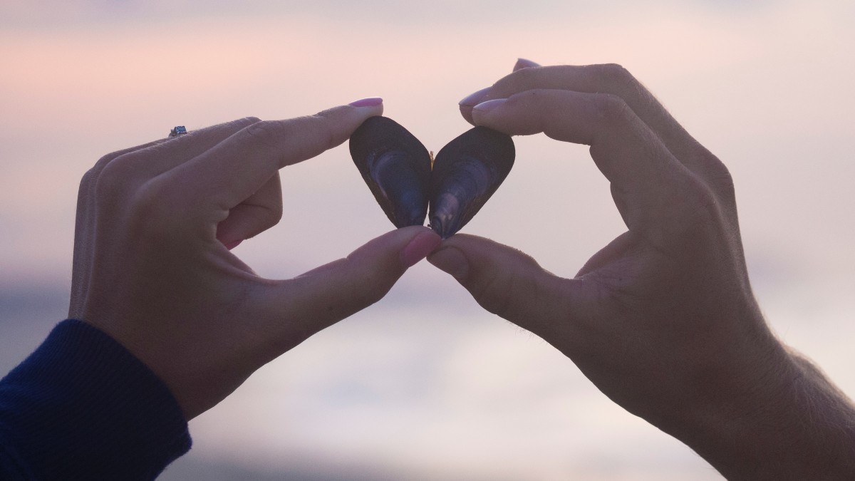 
a couple holding up a scallop shell in the shape of a heart
