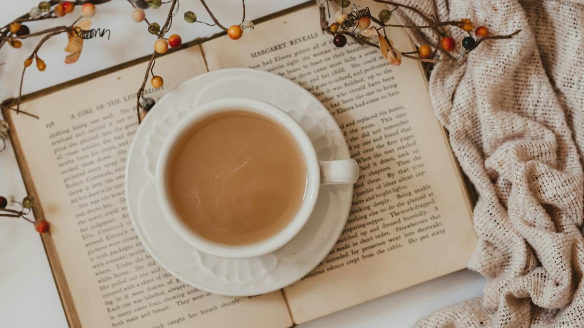 
a-cup-of-tea-and-a-book
