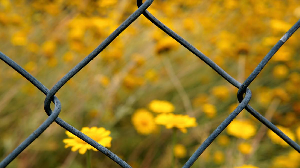 Therapy Can Teach Us How To Make Our Actions Our Own Again