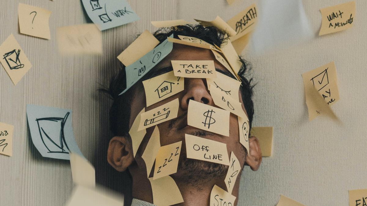 Bullshit Jobs, What Are They And How To Avoid Them?