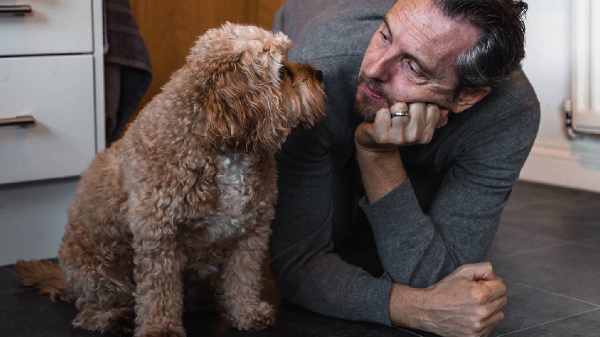 
a man who is happy and mentally healthy because he is playing with his dog
