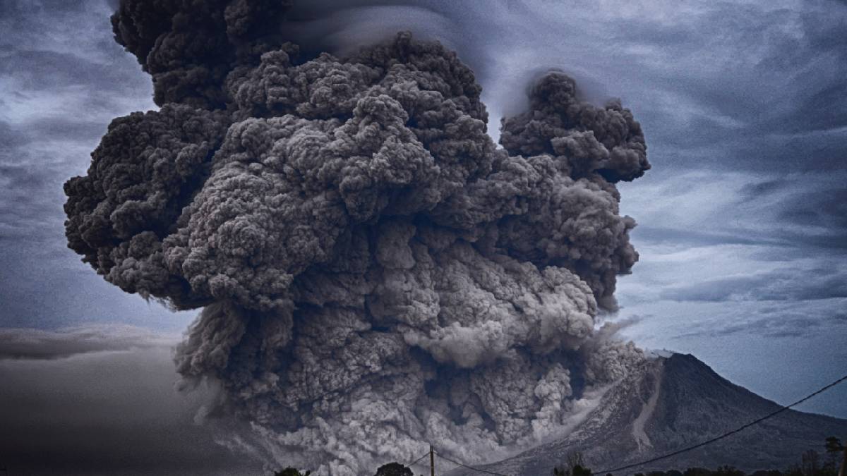 The Aftermath Of A Fatal Disaster Could Save You