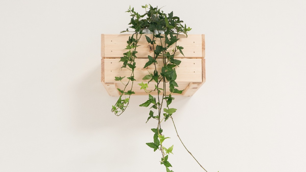 The Power Of Simplicity: 5 Mental Health Rewards Of Embracing Minimalism