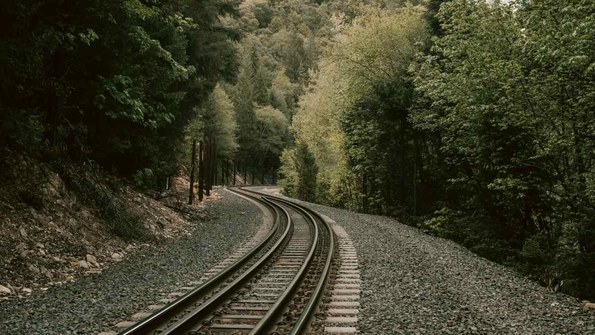 
a train track in the middle of a forest by josh hild
