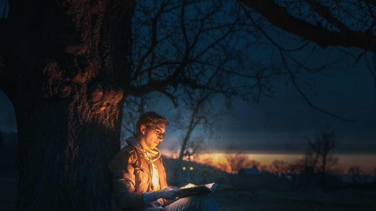 
A wise man reading a book under a tree while contemplating happiness and life purpose.
