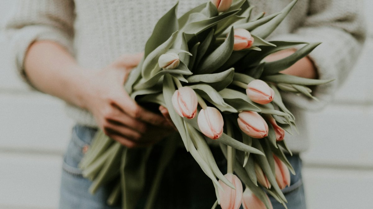 
a-woman-holding-a-bouquet-of-tulips
