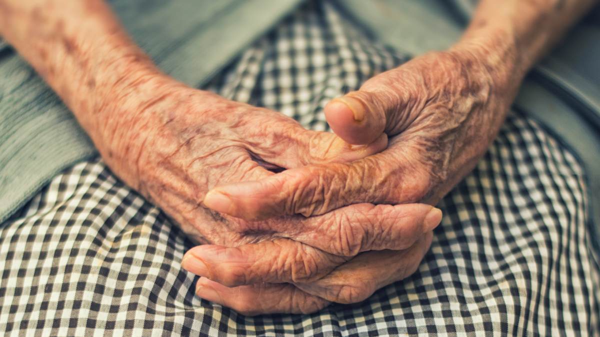 
an elderly woman's hands held gracefully in her lap
