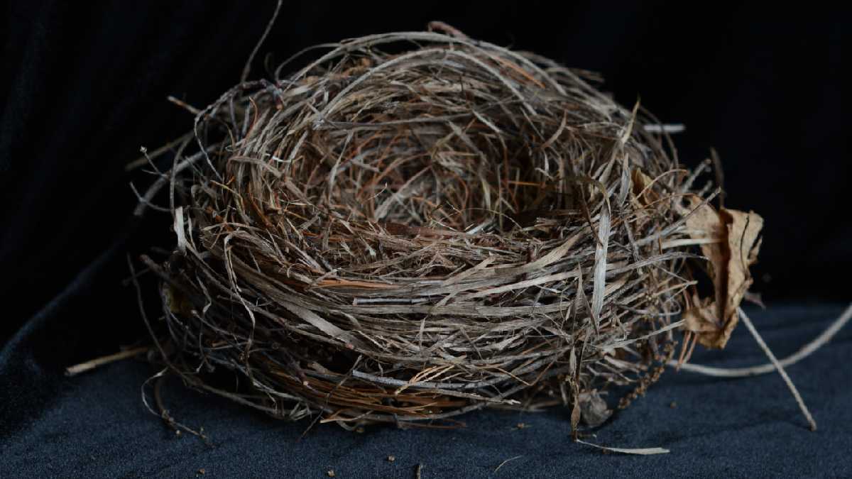A Therapist Shares 2 Tips On Coping With An Empty Nest
