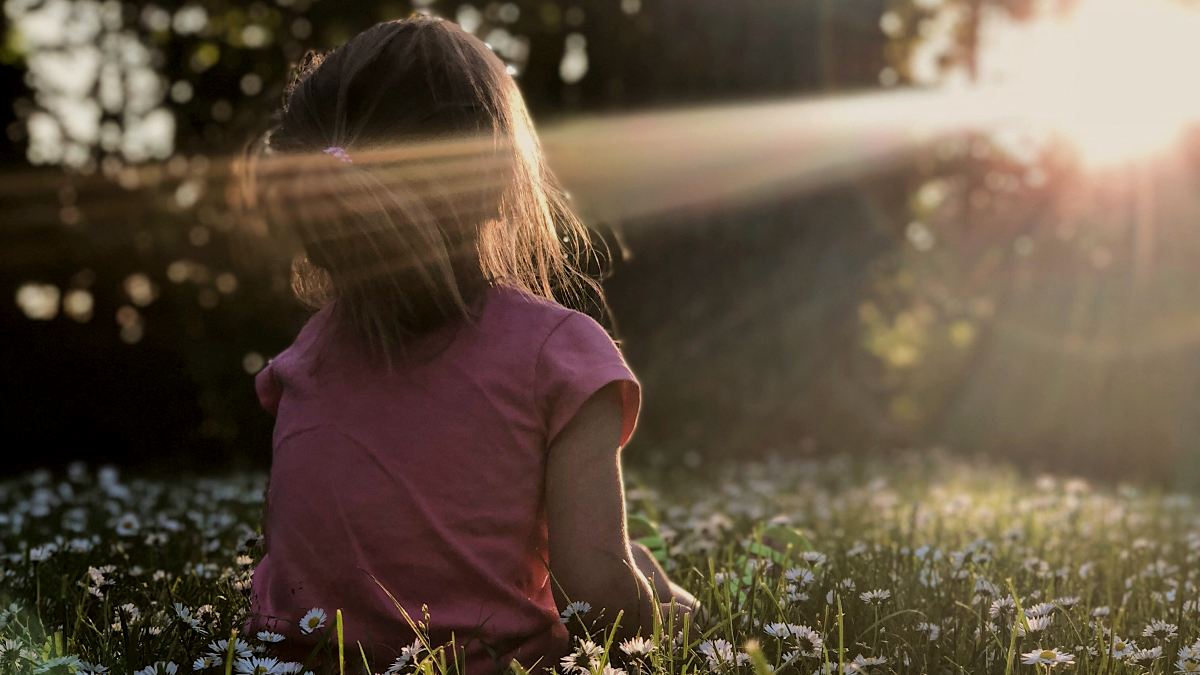 
girl sitting on daisy flowerbed in forest with the sun peeking through trees by Melissa Askew
