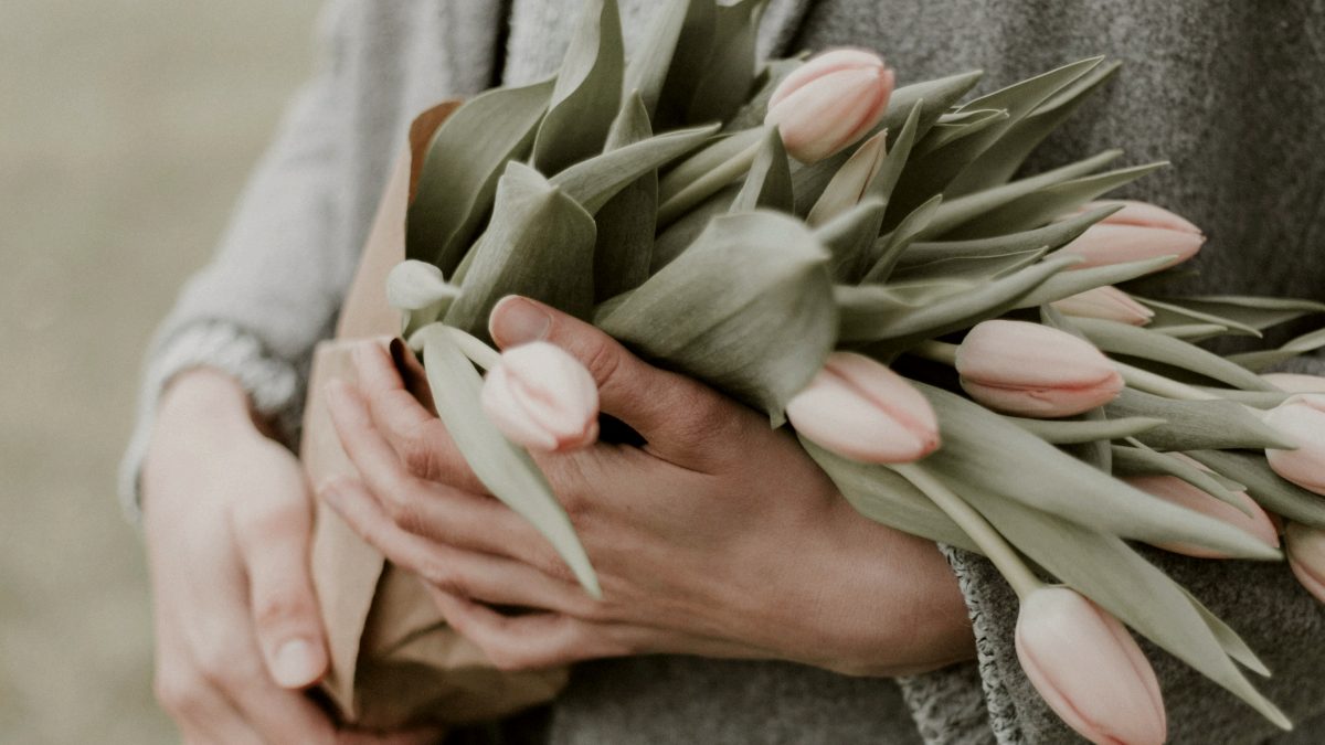 
person holding bouquet of tulip flowers
