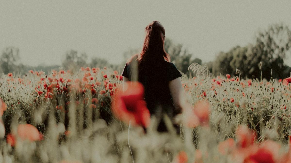 
woman in black dress standing in a poppy field during daytime
