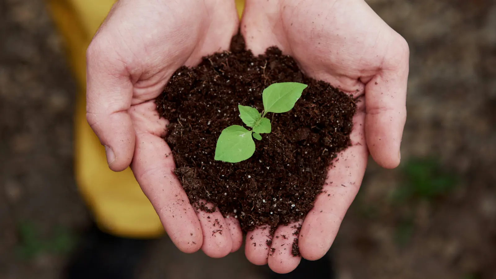 3 Signs You're Growing In Subtle Ways