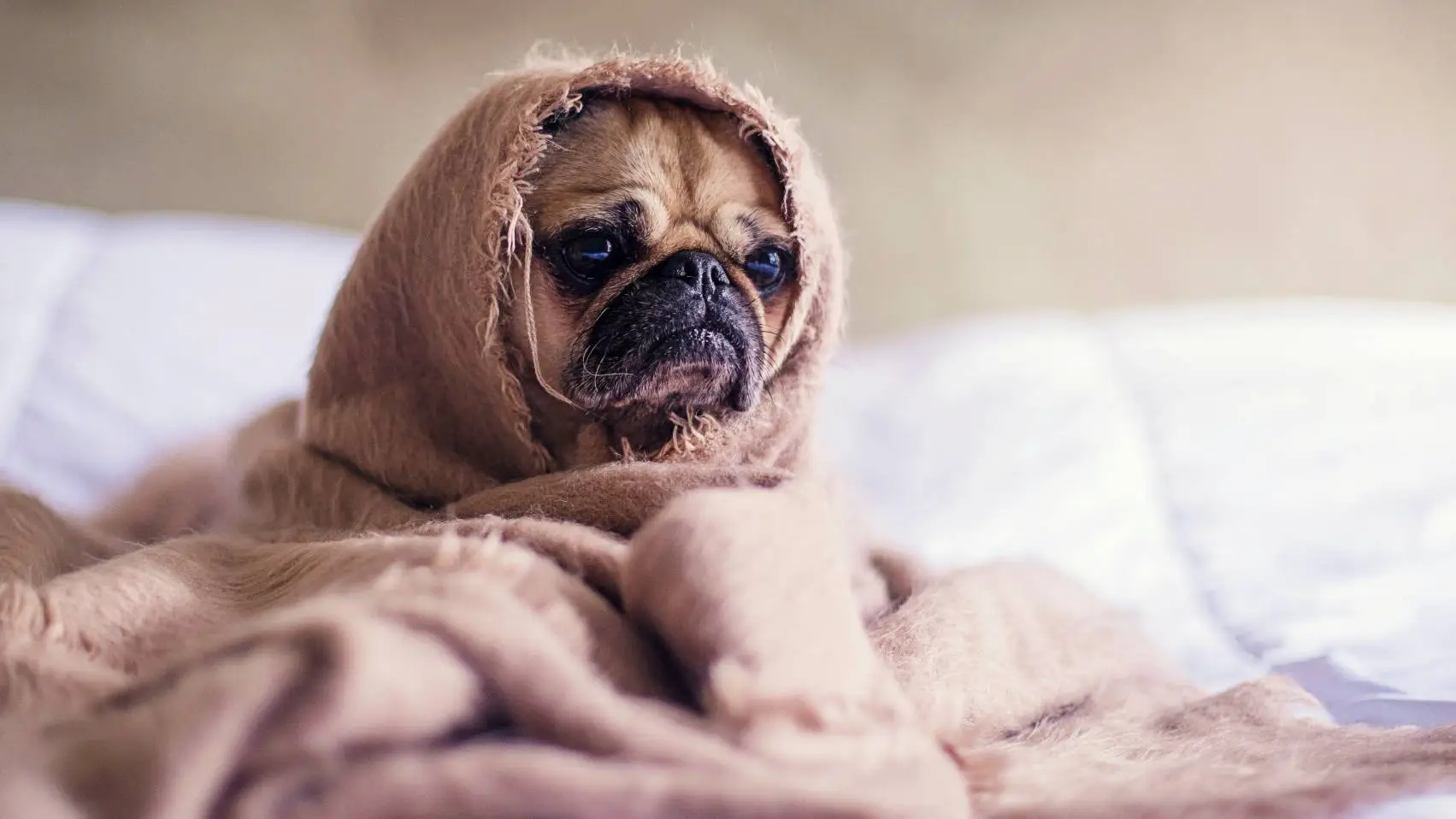 3 Ways Stress Silently Alters Your Personality