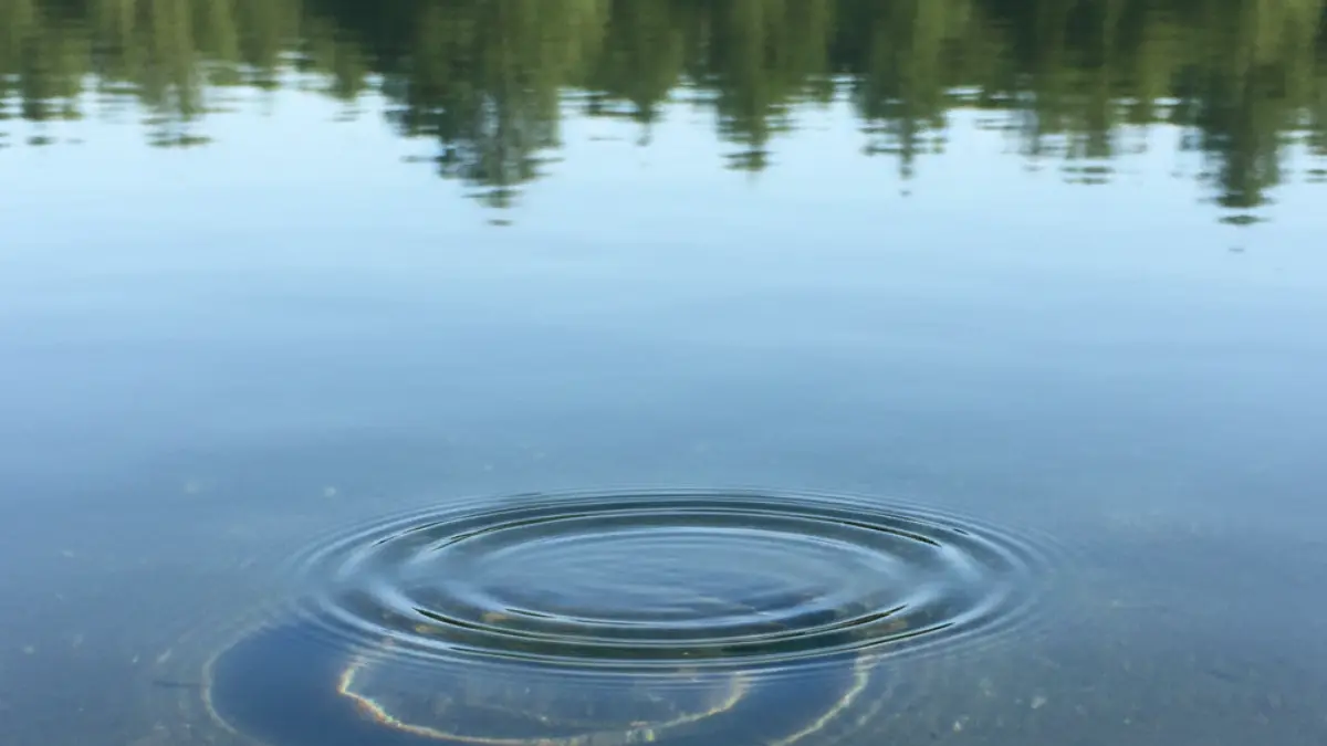 Highly Sensitive Person Questionnaire image